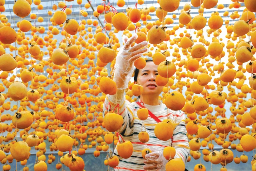 ខ្សែចង្វាក់វេចខ្ចប់ផលិតផលតែបម្រើទីផ្សារនាំចេញរបស់អង្គភាពមួយនៅទីក្រុង បាវឡុក - ធានីនៃពាណិជ្ជសញ្ញា "តែ ប្លាវ"