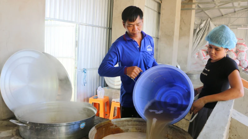 ព្រៃត្នោតទាំងឡាយដ៏ធំល្វឹងល្វើយនៅតំបន់ បៃនូយ ខេត្ត អានយ៉ាង។