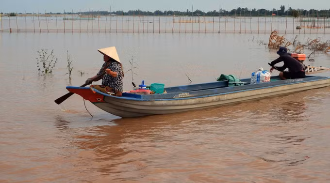 ca-linh-2.jpg