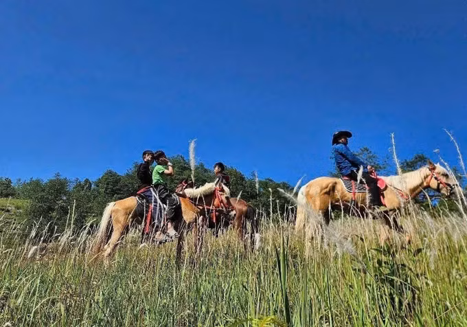 cuoi-ngua-3.jpg