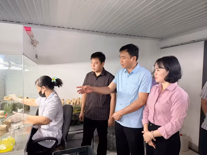 la-minh-phuc3.jpg