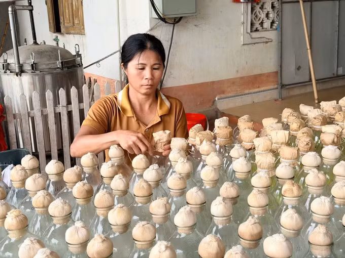 la-minh-phuc4.jpg