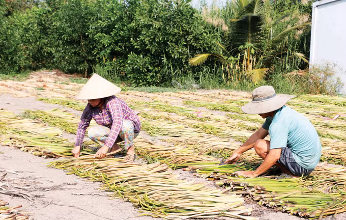 nghe-dan-luc-binh-2.jpg