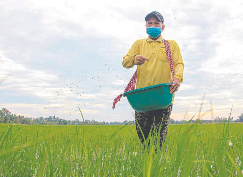 មកពីការបង្កបង្កើតផលយ៉ាងឧស្សាហ៍ព្យាយាម ចេះសន្សំសំចៃក្នុងការចាយវាយទុកលុយសម្រាប់ទិញដីធ្លីបន្ថែម មកទល់សព្វថ្ងៃនេះគ្រួសារលោក ថាច់ សាខា មានផ្ទៃដីដាំស្រូវចំនួន ៤ ហិកតាហើយមានផ្ទះសំបែងធំទូលាយជាបង្គួរទៀតផង