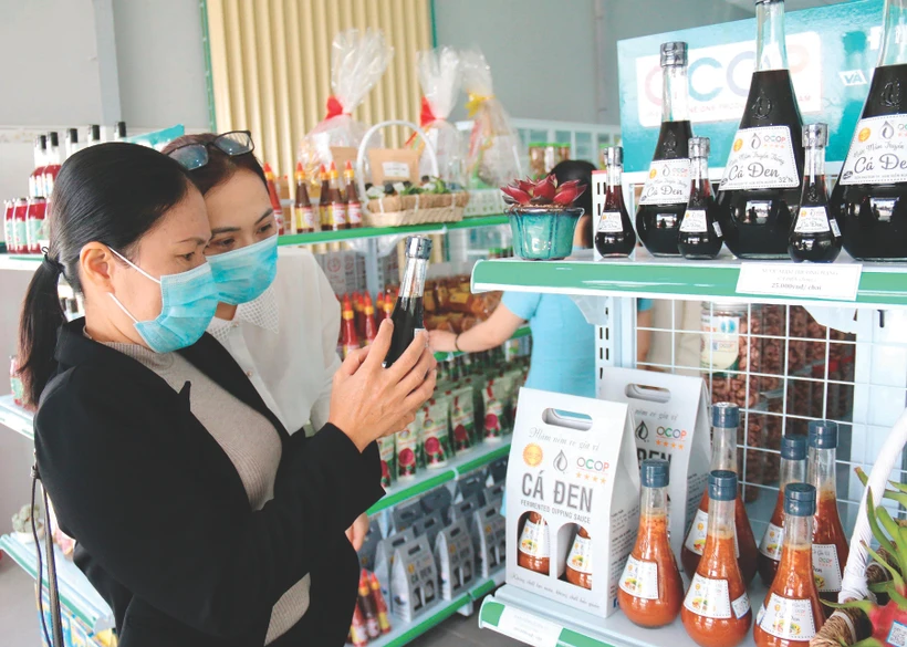 អតិថិជនស្វែងយល់ពាណិជ្ជសញ្ញាទឹកត្រី ផានធៀតនៅចំណុចដាក់តាំងបង្ហាញផលិតផល OCOP របស់ខេត្ត ប៊ិញធន់