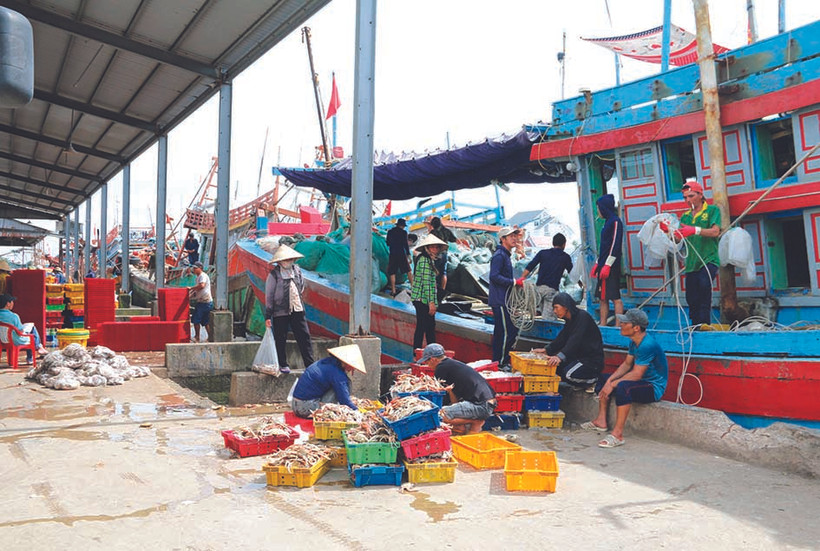 កំពង់ផែនេសាទ ឌិញអាន នៅទីរួមស្រុក ឌិញអាន ស្រុក ត្រាគូ គឺជា ភ្នាក់ងារប្រមូលទិញនិងដឹកជញ្ជូន ជលផលធំបំផុតតំបន់ឆ្នេរសមុទ្រនៃខេត្ត ត្រាវិញ 