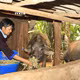 ក្រោកឈរឡើងវិញក្រោយពីចំពប់ដួលហើយក្លាយជាលេខាសាខាបក្ខភាគដ៏មានកិត្យានុភាព 