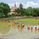 រូបភាពព្រះសង្ឃ មាមីងបងប្អូនពុទ្ធបរិស័ទ ខ្មែរ ព្យាយាមខ្នះខ្នែងស្ទូងសំណាបនៅអំពកស្រែជាង ២.០០០ ម៉ែត្រការ៉េនៅខាងក្រោយបរិវេណវត្តគីរីគុជ្ជរោទិ៍ឥសីសិទ្ធី (រោទិ៍) បានបង្កើតផ្ទាំងគំនូរជនបទមួយផ្ទាំងដ៏សុខក្សេមក្សាន្តនិងពោរពេញដោយកម្លាំងរស់រាន