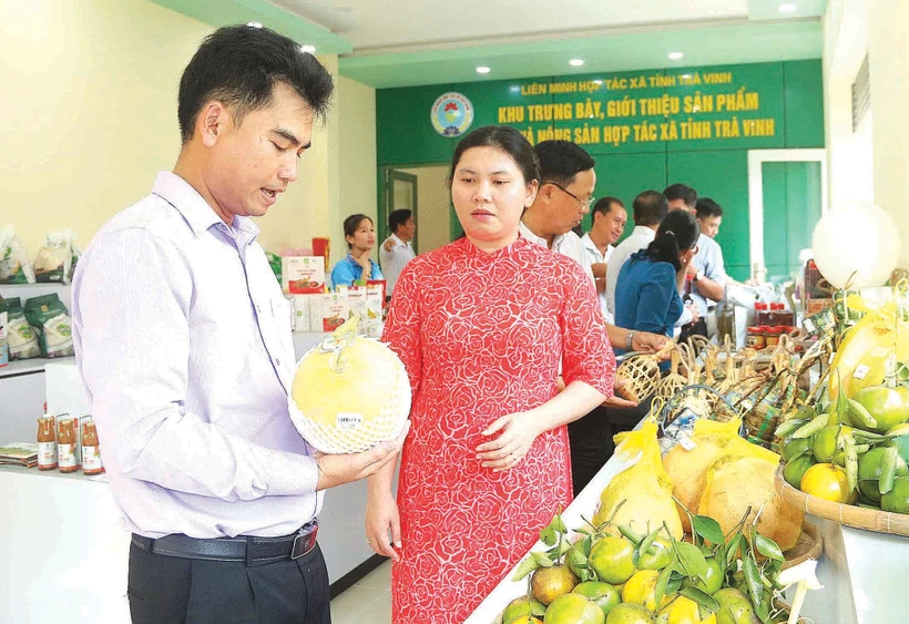 អតិថិជនស្វែងយល់ផលិតផល OCOP ទាំងឡាយនៅហាងដាក់តាំងបង្ហាញ ឧទ្ទេសនាមផលិតផល OCOP និងកសិផល សហករណ៍ខេត្ត ត្រាវិញ