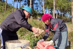 ស្ថេរភាពប្រកបរបរចិញ្ចឹមជីវិតនៅលើចម្ការជម្រាលថ្មតំបន់ចុងប៉ូចភាគខាងជើង