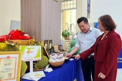 ការតភ្ជាប់អភិវឌ្ឍន៍ទីផ្សារ បង្កើនតម្លៃផលិតផល OCOP