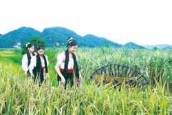 រហាត់ទឹករបស់បងប្អូនជនជាតិ ថៃ