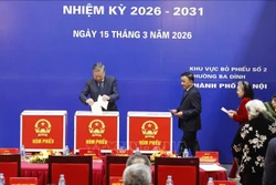 លោកអគ្គលេខាបក្ស តូ ឡឹម កំពុងបោះឆ្នោតនៅការិយាល័យបោះឆ្នោតលេខ ០២ សង្កាត់បាឌិញ ហាណូយ។ រូបថត៖ ថុងញ៉ឹត់/ទីភ្នាក់ងារពត៌មានវៀតណាម