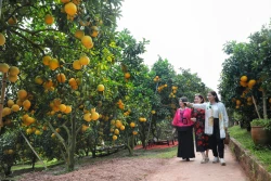 ប្តូរមុខមាត់ថ្មីទេសចរណ៍រដូវផ្លែឈើទុំ