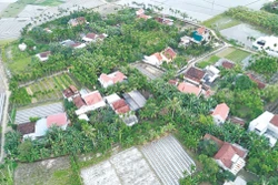 និទាឃរដូវមកជាមួយនឹង ជម្រកគុណស្រ័យទាំងឡាយដ៏កក់ក្តៅ បុណ្យចូលឆ្នាំមមី អដ្ឋស័ក ២០២៦