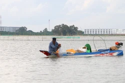 រកស៊ីចិញ្ចឹមជីវិតលើវាលលិចទឹកជំនន់នៅព្រំដែន ភាគនិរតី