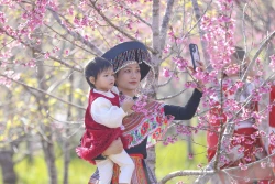 បើកពិធីបុណ្យផ្កាម៉ាក់ខៃនៅឃុំ មឿងផាង