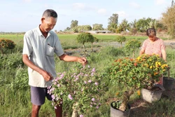 ភាពសប្បាយរីករាយនិទាឃរដូវថ្មីនៅតាមភូមិនិគមរបស់បងប្អូនជនជាតិ ខ្មែរ