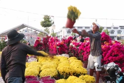 អ៊ូអរផ្សារលក់ផ្កាទីក្រុង កឹនធើ នៅពេលកៀកជិតបុណ្យចូលឆ្នាំ