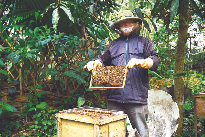 ឃុំ ដុកឡឹប អភិវឌ្ឍរបរចិញ្ចឹមឃ្មុំយកទឹកឃ្មុំ ảnh 1