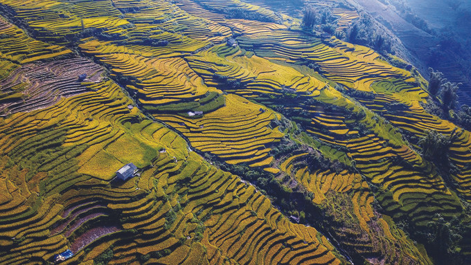 ស្វែងយល់ពីតំបន់ខ្ពស់ តីបាក់ ảnh 2