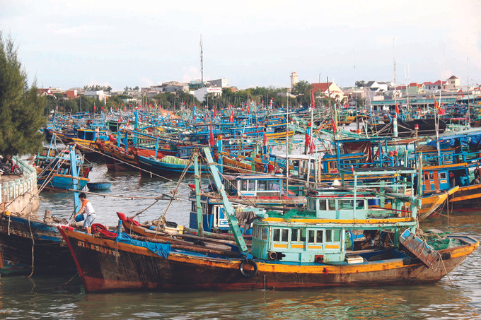 នាវានេសាទនៅតំបន់សមុទ្រខាងក្រៅបោះយុថ្កាចតនៅទន្លេ កាទី ទីក្រុង ផានធៀត ខេត្ត ប៊ិញធន់ ទាញយកផលពីសក្ដានុភាពសេដ្ឋកិច្ចជលផល ảnh 3