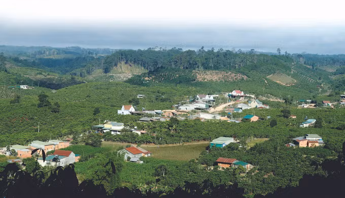 ឃុំ ដាក្នាង ជំរុញខ្លាំងក្លាការបង្កបង្កើនផលកសិកម្មដើម្បីលុបបំបាត់ភាពក្រីក្រ ảnh 1