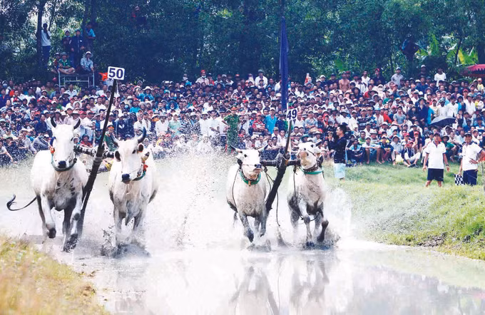 មោទនភាពតំបន់ដែនដីខេត្ត អានយ៉ាង ảnh 6