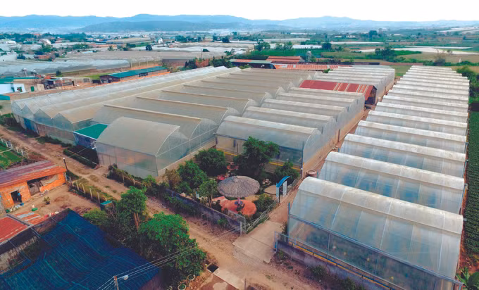 ផ្នែកកសិកម្មខេត្ត ឡឹមដុង ចូលចង្វាក់ក្នុងដំណើរការធ្វើបរិវត្តកម្មឌីជីថល ảnh 4