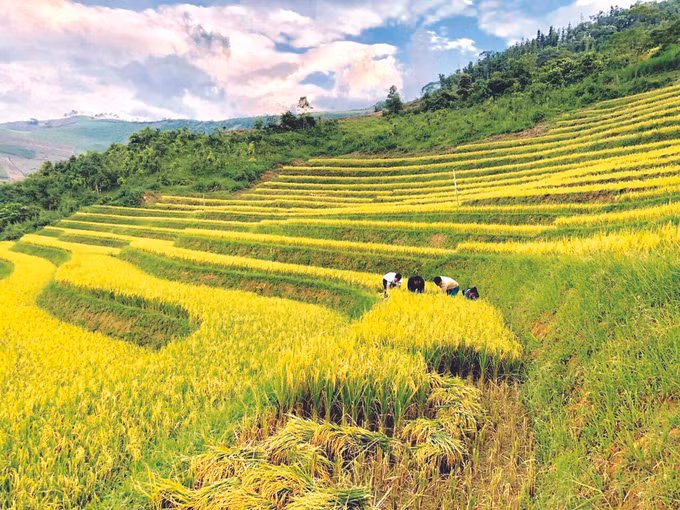ពង្រីកទូលំទូលាយទម្រង់រូបភាព "ភូមិជនជាតិ ម៉ុង ស្វ័យគ្រប់គ្រង" នៅតំបន់ខ្ពស់ខេត្ត អៀនបាយ ảnh 2