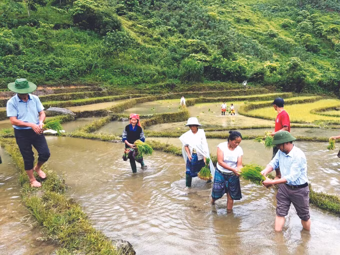 ពង្រីកទូលំទូលាយទម្រង់រូបភាព "ភូមិជនជាតិ ម៉ុង ស្វ័យគ្រប់គ្រង" នៅតំបន់ខ្ពស់ខេត្ត អៀនបាយ ảnh 1