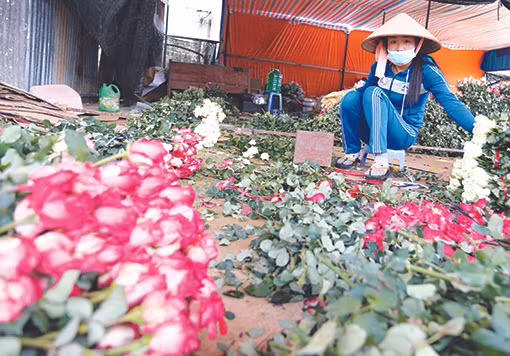 ភូមិផ្កាប្រពៃណី វ៉ានថាញ់ ảnh 2