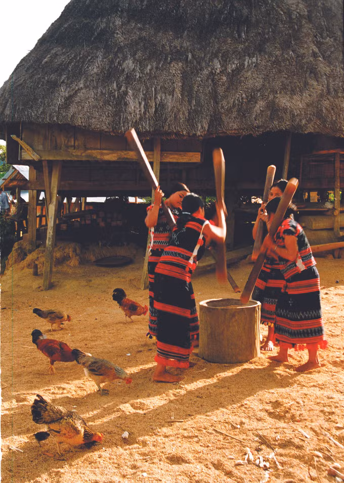 ស្នូរអង្រែបុកស្រូវក្នុងវប្បធម៌ តីង្វៀន ảnh 1