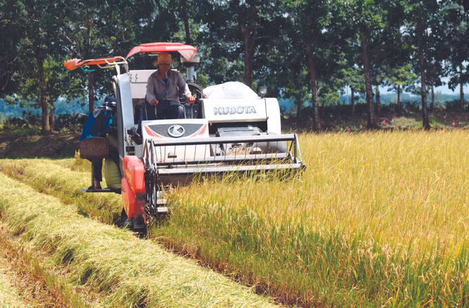 ខេត្ត ប៊ិញធន់ លើកកម្ពស់ជីវភាពរស់នៅតំបន់បងប្អូនជនជាតិ ảnh 2
