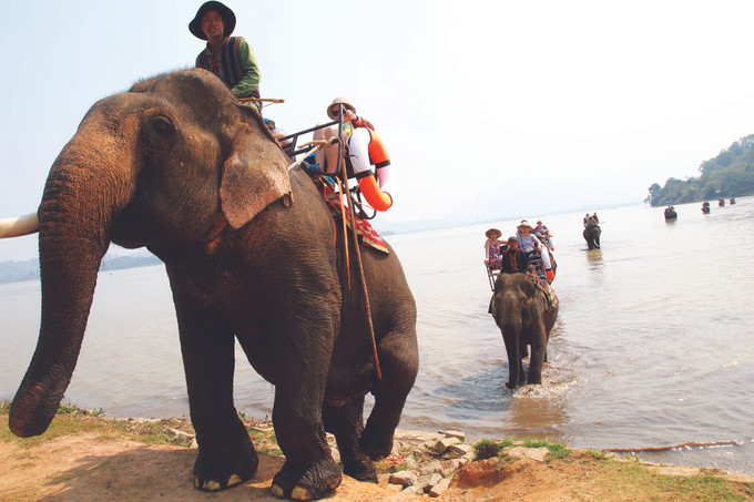 តំបន់ តីង្វៀន ឆ្ពោះទៅរកវិថីបៃតង ảnh 3