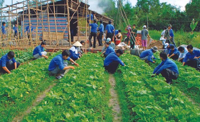 ខេត្ត បាកលៀវ ទាក់ទាញបញ្ញវន្តវ័យក្មេងស្ម័គ្រចិត្តចូលរួមការអភិវឌ្ឍជនបទ ảnh 1