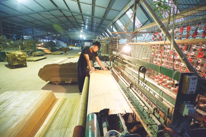 ខេត្ត កាវបាំង ថែរក្សាពណ៌បៃតងអោយព្រៃឈើ ảnh 7