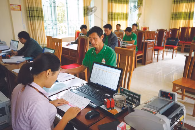 ខេត្ត កាវបាំង ថែរក្សាពណ៌បៃតងអោយព្រៃឈើ ảnh 4