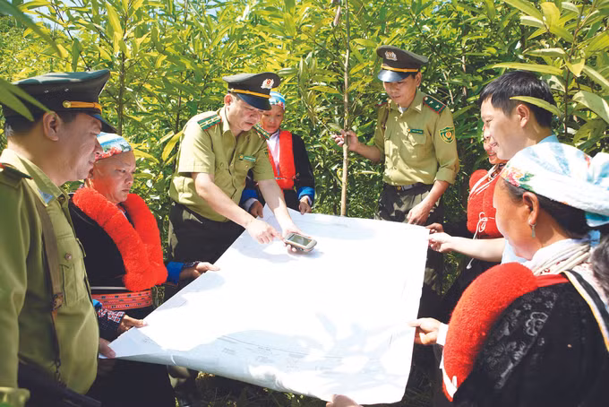 ខេត្ត កាវបាំង ថែរក្សាពណ៌បៃតងអោយព្រៃឈើ ảnh 5