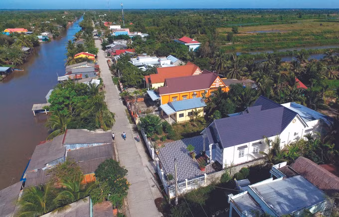 និទាឃរដូវថ្មីលើតំបន់ដីជ្រាបជាតិជូរ ảnh 5