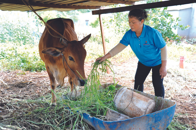 មុខមាត់ថ្មីនៅតំបន់ដឹត - ដ ảnh 2