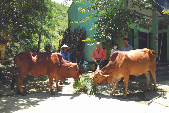 ជីវភាពថ្មីនៅតំបន់បងប្អូនជនជាតិ តំបន់ភ្នំនៃរដ្ឋធានី ảnh 4