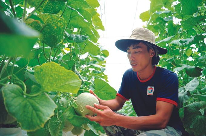 មុខមាត់ថ្មីនៅតំបន់ដឹត - ដ ảnh 3