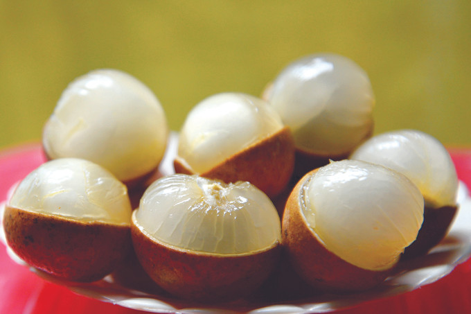 មៀន ថាញ់ញ៉ាន បាកលៀវ មានគុណសម្បត្តិផ្លែធំគ្រាប់តូច សាច់ក្រាស់ ស្ងួតមិនជោរទឹក រសជាតិផ្អែមត្រជាក់ ពូជមៀន ថាញ់ញ៉ាន នៅ បាកលៀវ ảnh 2