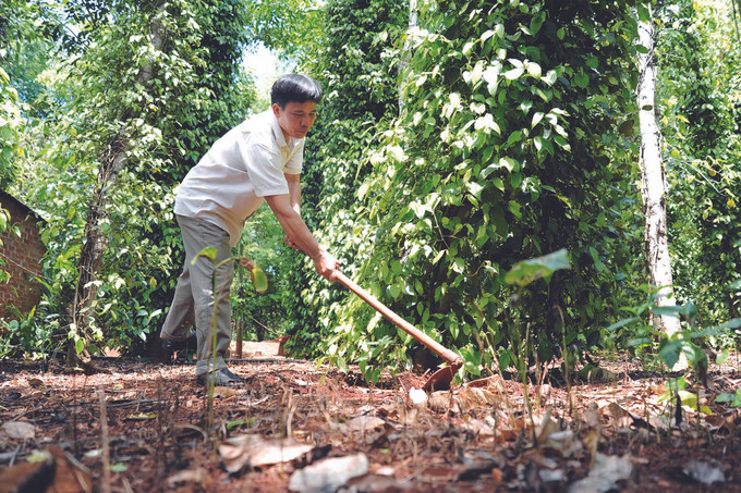 មុខមាត់ថ្មីនៅតំបន់ដឹត - ដ ảnh 5