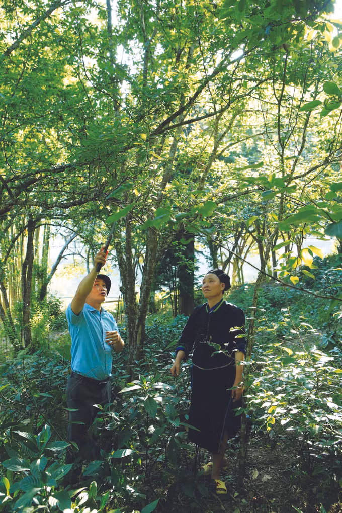 ស្នាមដានអនុស្សាវរីយ៍នៃ “ប្រជាចលនាប៉ិនប្រសប់” នៅតំបន់ចុងប៉ូចនាភាគខាងជើងនៃមាតុភូមិ ảnh 2