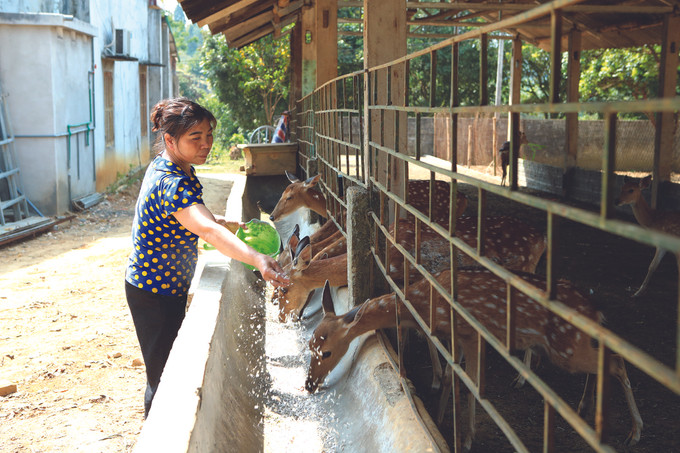 គិតត្រឹមខែ តុលា ឆ្នាំ ២០១៩ ទីក្រុង ហាយ៉ាង កសាងបានទម្រង់រូបភាព “ប្រជាចលនាប៉ិនប្រសប់” ចំនួន ៦.៨៤៨ ពង្រីកទូលំទូលាយទម្រង់រូបភាពគំរូពី “ប្រជាចលនាប៉ិនប្រសប់” ចំនួន ៣.១៤២ ស្នាមដានអនុស្សាវរីយ៍នៃ “ប្រជាចលនាប៉ិនប្រសប់” នៅតំបន់ចុងប៉ូចនាភាគខាងជើងនៃមាតុភូមិ ảnh 8