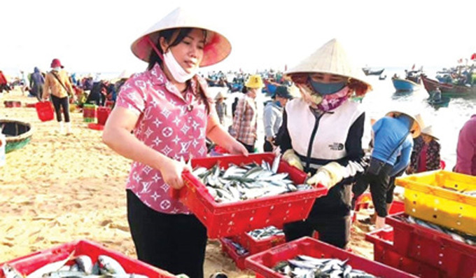 ប្រជាជនខេត្ត ក្វាងប៊ិញ រៃអង្គាសត្រីដើម្បីផ្ញើអោយប្រជាជនក្នុងតំបន់ដែលមានជំងឺរាតត្បាតនៅទីក្រុង ហូ ជីមិញ រួមដៃគ្នាជួយឧបត្ថម្ភទីក្រុង ហូ ជីមិញ ក្នុងការទប់ទល់ប្រយុទ្ធប្រឆាំងនឹងជំងឺរាតត្បាតកូវីដ - ១៩ ảnh 3
