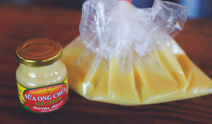 ទឹកដោះស្តេចឃ្មុំសម្រេចស្តង់ដារមានពណ៌លឿងភ្លាវឬសល្អក់ វិធីយកទឹកដោះស្ដេចឃ្មុំ ảnh 2