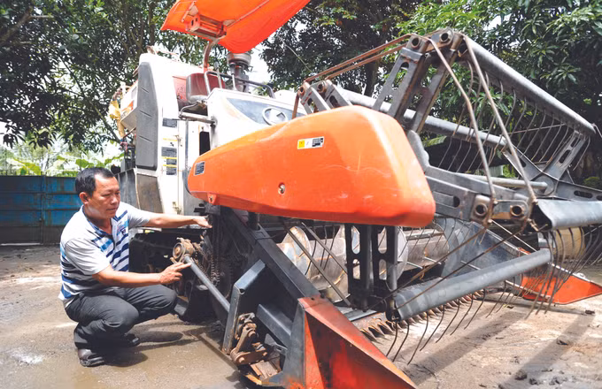 លក្ខណៈថ្មីនៅតំបន់ជាយក្រុងខេត្ត សុកត្រាំង ảnh 5